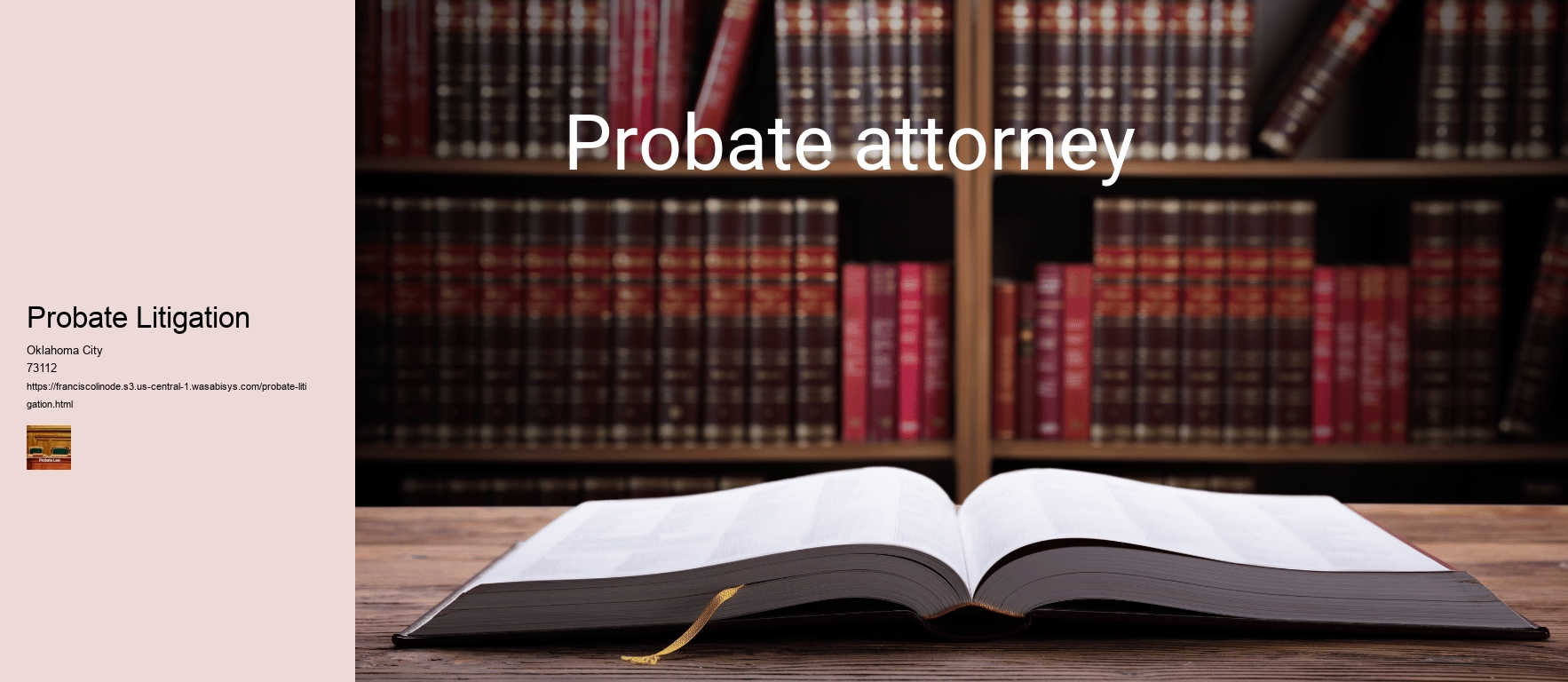 Probate Litigation